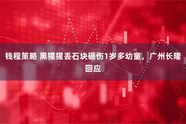 钱程策略 黑猩猩丢石块砸伤1岁多幼童，广州长隆回应