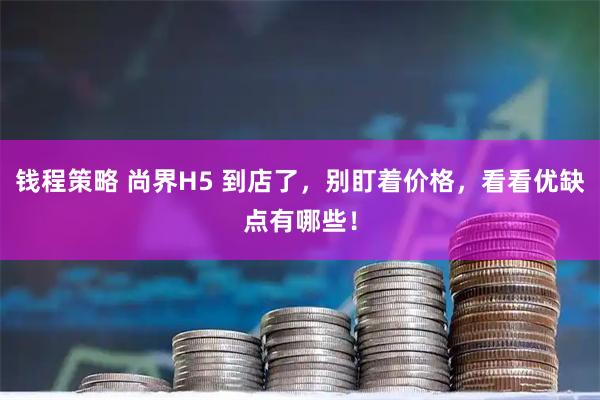 钱程策略 尚界H5 到店了，别盯着价格，看看优缺点有哪些！