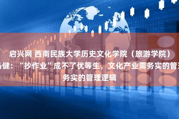 启兴网 西南民族大学历史文化学院（旅游学院）教授马健：“抄作业”成不了优等生，文化产业需务实的管理逻辑