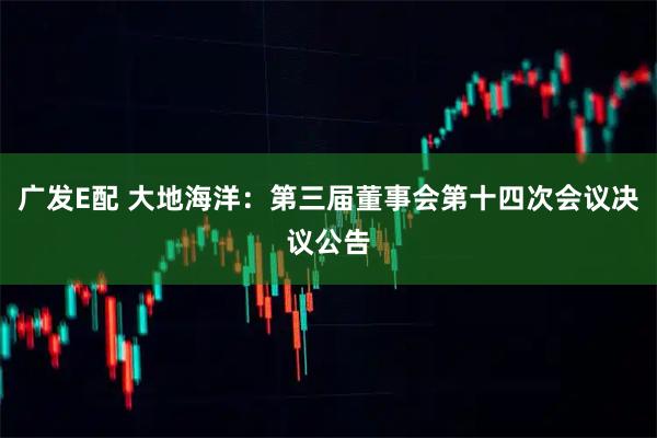 广发E配 大地海洋：第三届董事会第十四次会议决议公告