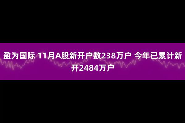 盈为国际 11月A股新开户数238万户 今年已累计新开2484万户
