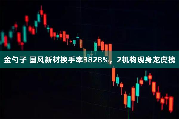 金勺子 国风新材换手率3828%，2机构现身龙虎榜