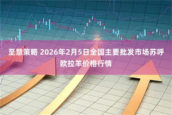 至慧策略 2026年2月5日全国主要批发市场苏呼欧拉羊价格行情