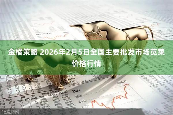 金橘策略 2026年2月5日全国主要批发市场苋菜价格行情